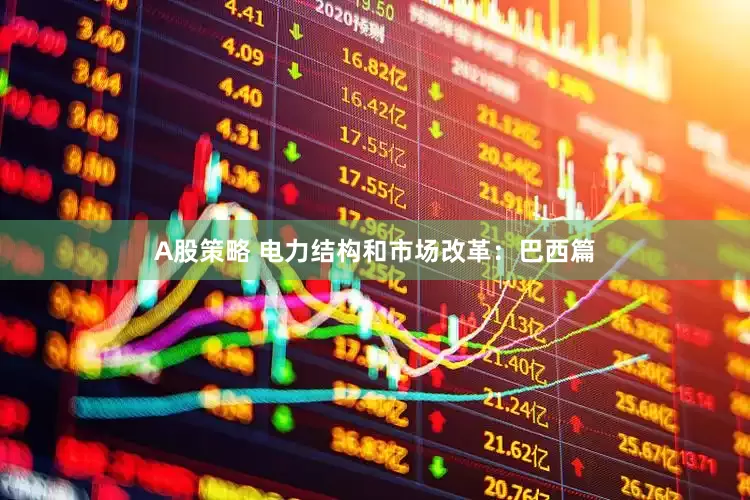 A股策略 电力结构和市场改革：巴西篇