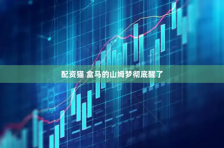 配资猫 盒马的山姆梦彻底醒了