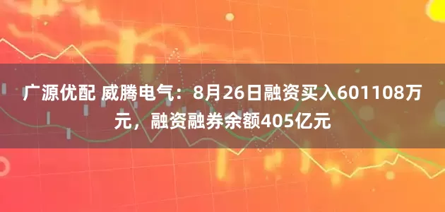 广源优配 威腾电气:8月26日融资买入601108万元,融资融券余额405亿元
